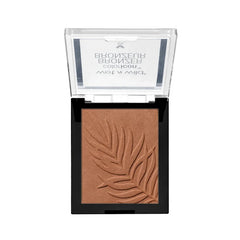 Color Icon Bronzer | What Shady Beaches
