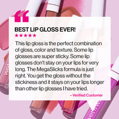 MegaSlicks Lip Gloss | Sinless