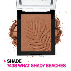 Color Icon Bronzer | What Shady Beaches